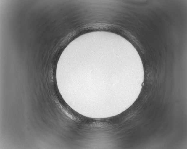 X0000079580633200612301407