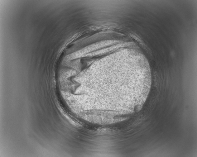 X0000079580634200612301407