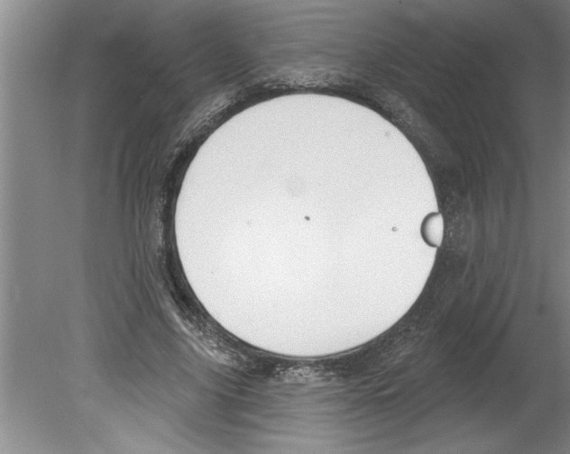 X0000079580635200612301407