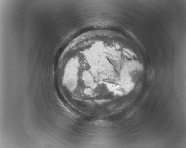 X0000079580637200612301408