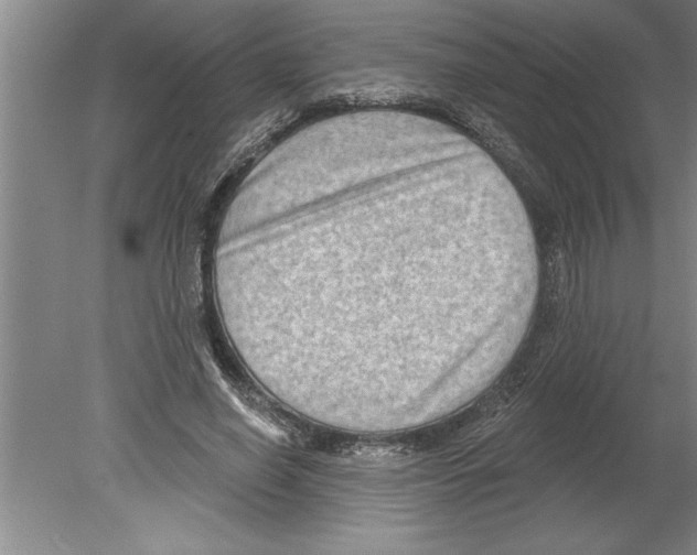 X0000079580638200612301408