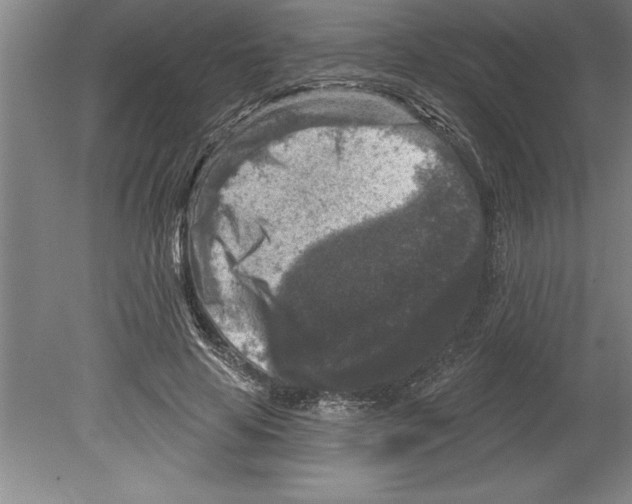 X0000079580641200612301408