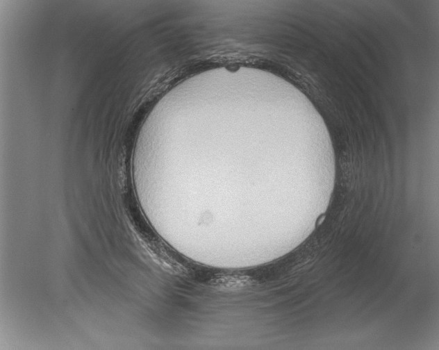 X0000079580642200612301408