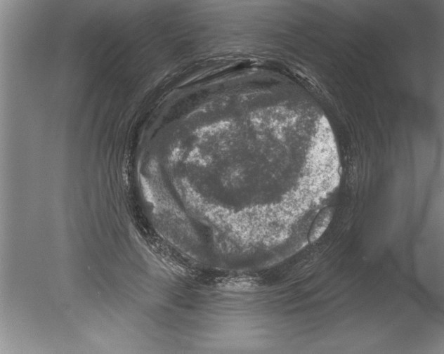 X0000079580643200612301408