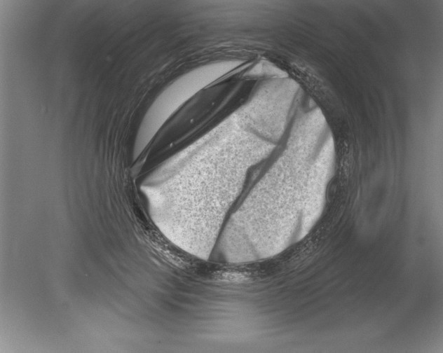 X0000079580649200612301408