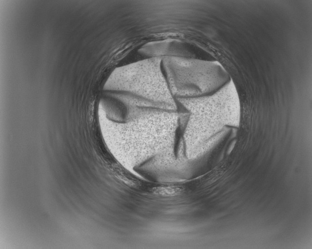 X0000079580652200612301408