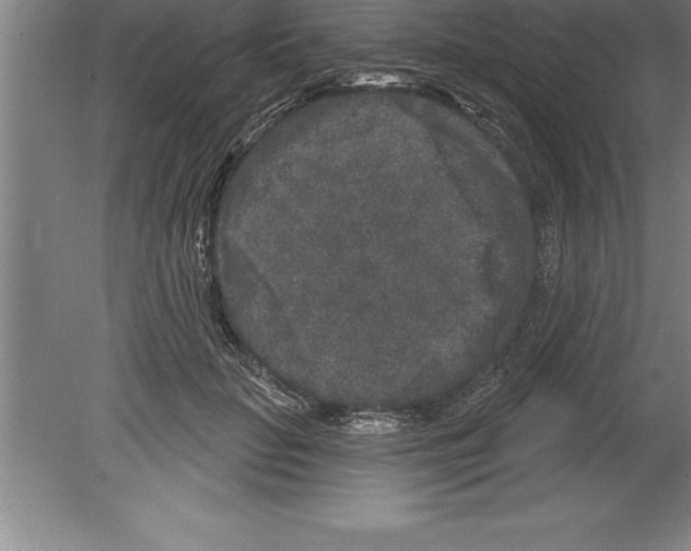 X0000079580653200612301408