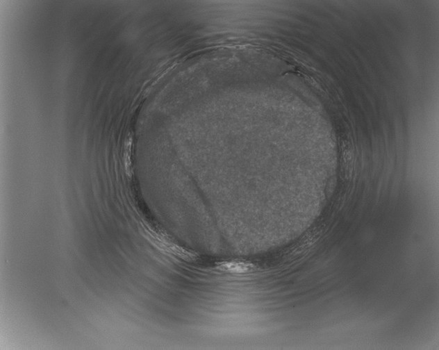 X0000079580654200612301408