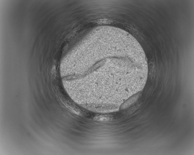 X0000079580655200612301408