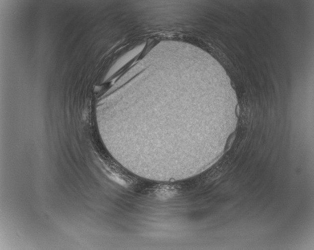 X0000079580656200612301408