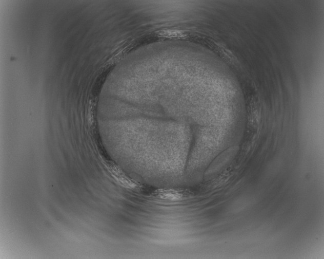 X0000079580658200612301408