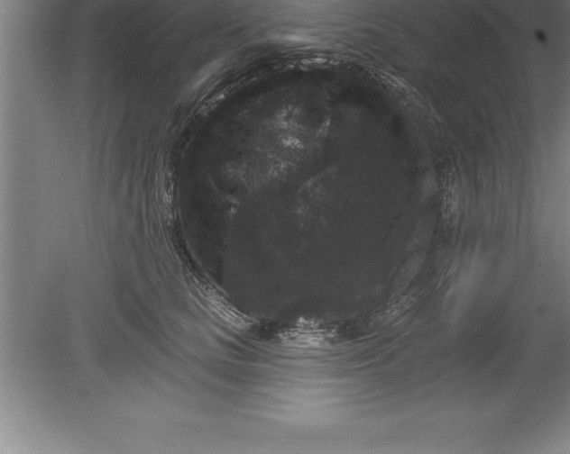 X0000079580661200612301408