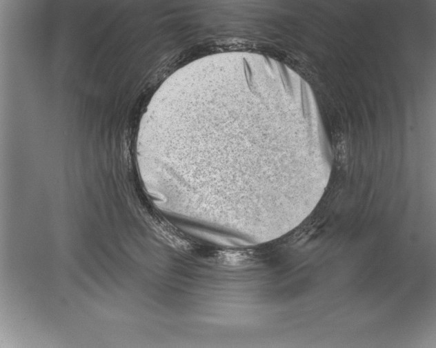 X0000079580662200612301408