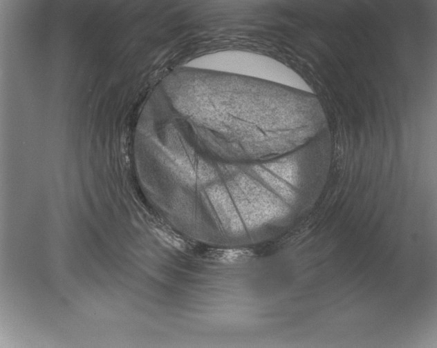 X0000079580663200612301408