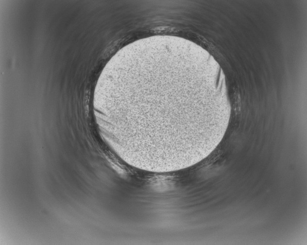 X0000079580664200612301408