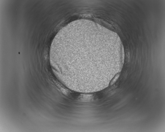 X0000079580665200612301408