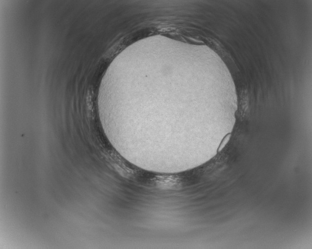 X0000079580667200612301408