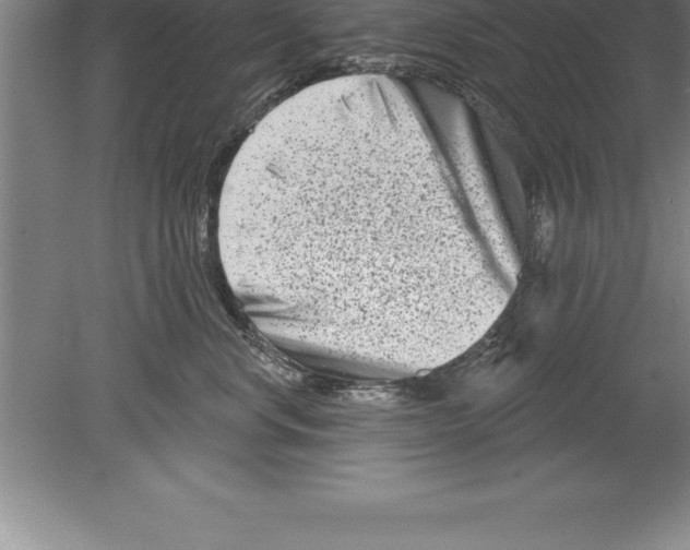 X0000079580668200612301408