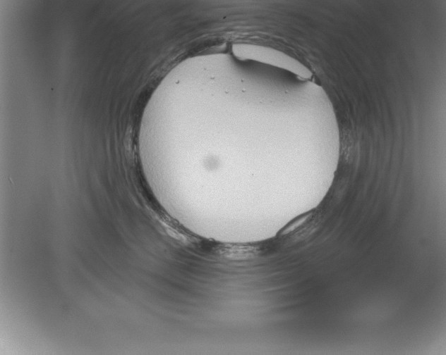 X0000079580670200612301408