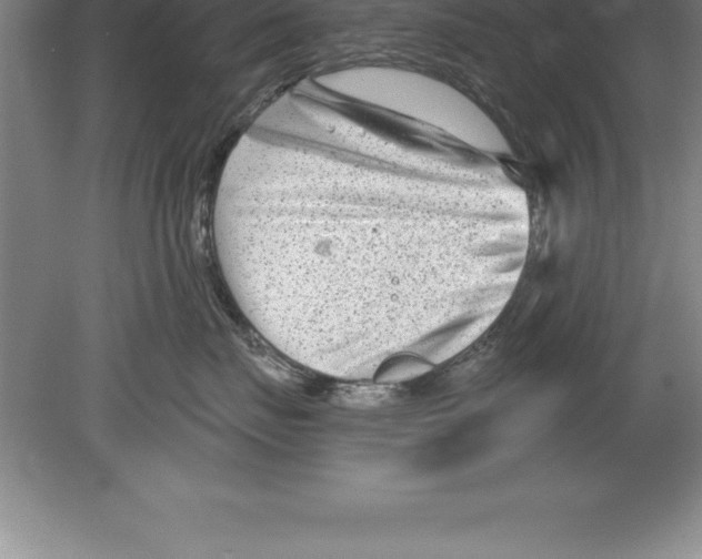 X0000079580671200612301408