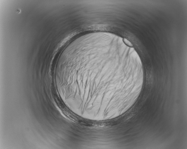 X0000079580674200612301407