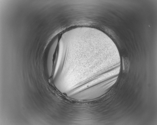 X0000079580675200612301407