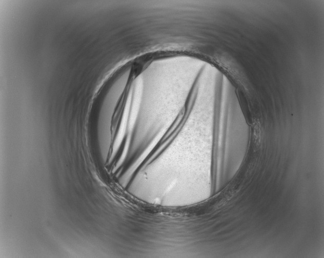 X0000079580676200612301407