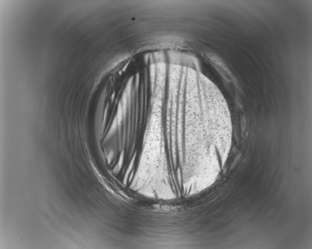 X0000079580677200612301407