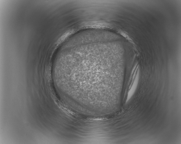 X0000079580679200612301407