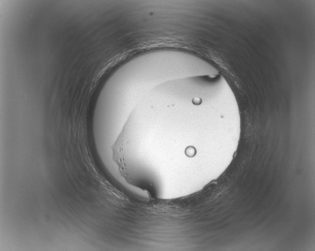 X0000079580681200612301407