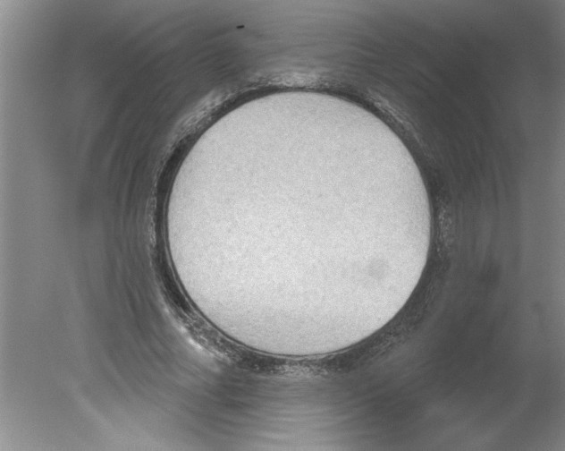 X0000079580682200612301407