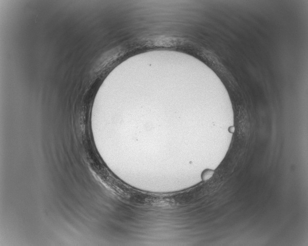 X0000079580683200612301407