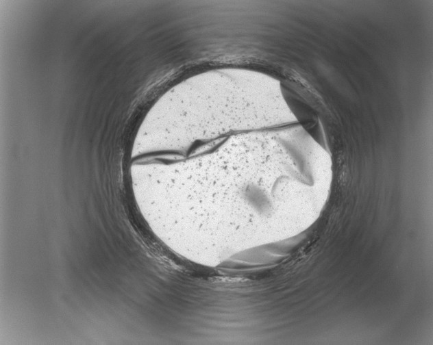 X0000079580685200612301407