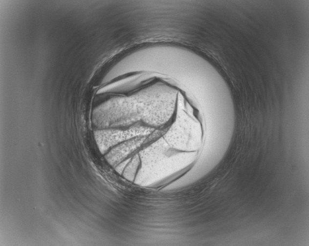 X0000079580688200612301407