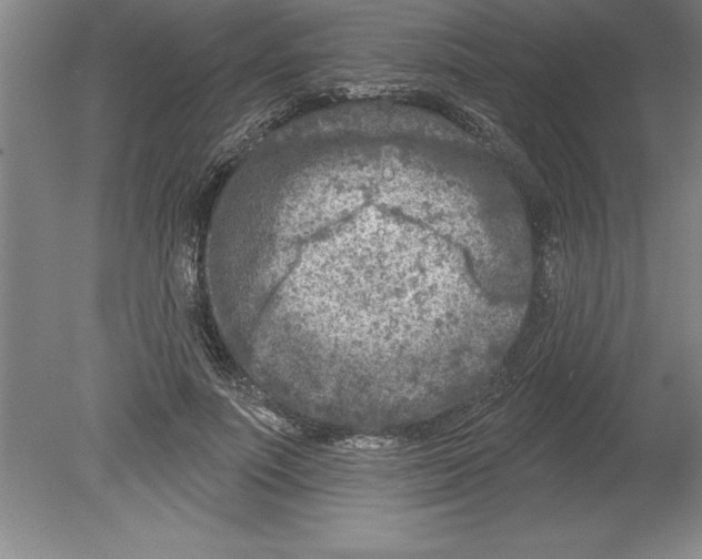 X0000079580691200612301407