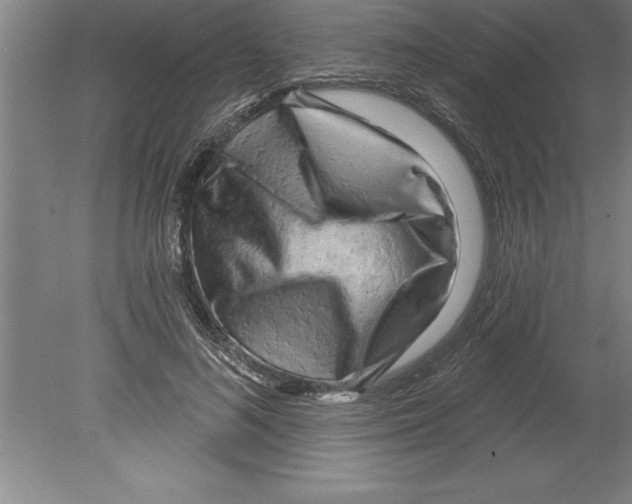 X0000079580692200612301407