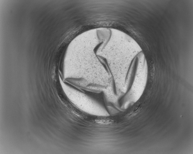 X0000079580693200612301407