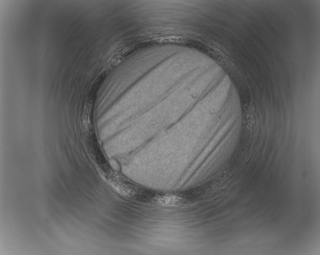 X0000079580695200612301407