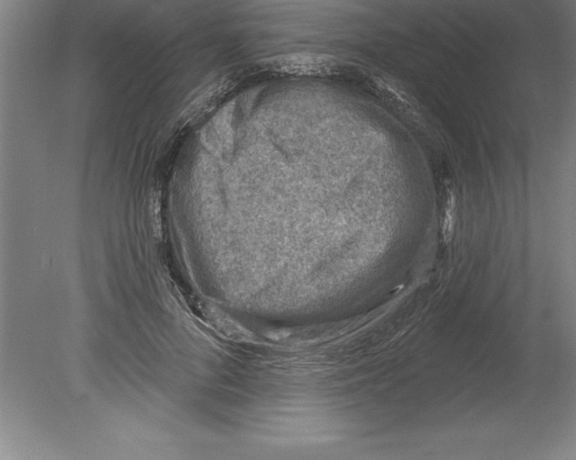 X0000079580696200612301407