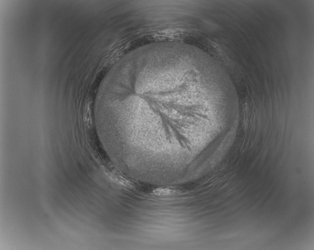 X0000079580699200612301407