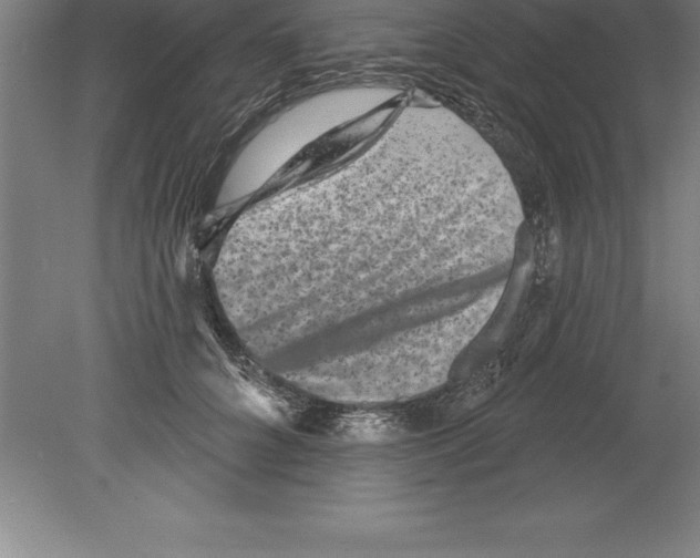 X0000079580704200612301407