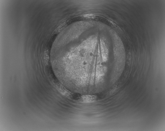 X0000079580707200612301407