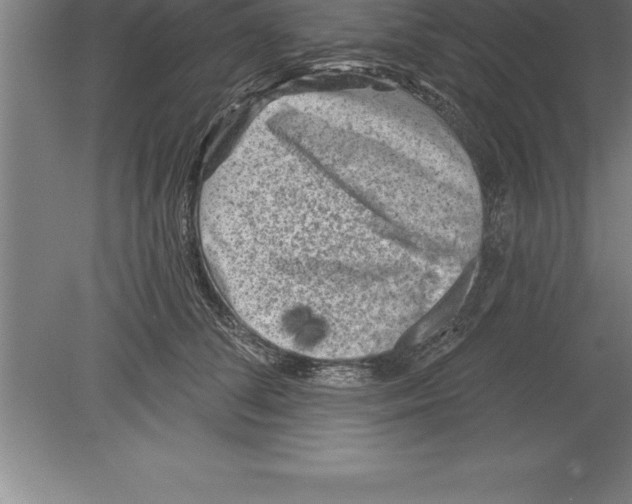 X0000079580708200612301407