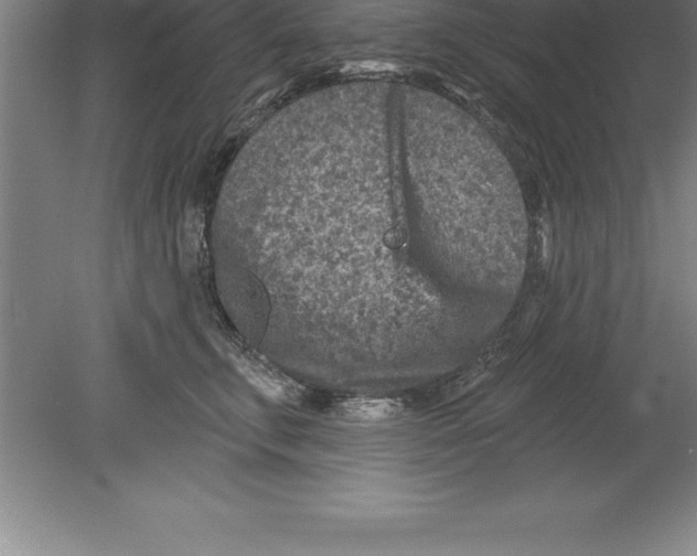 X0000079580711200612301407