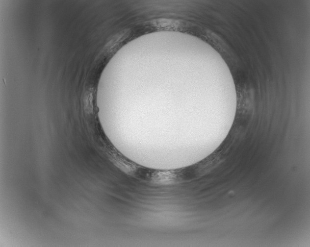 X0000079580717200612301407