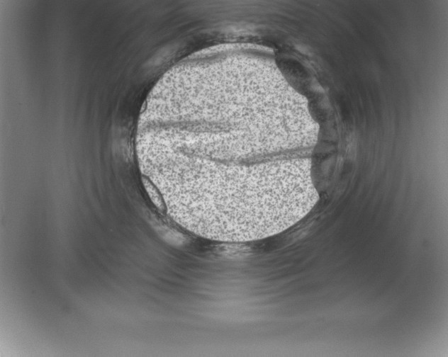 X0000079580719200612301407