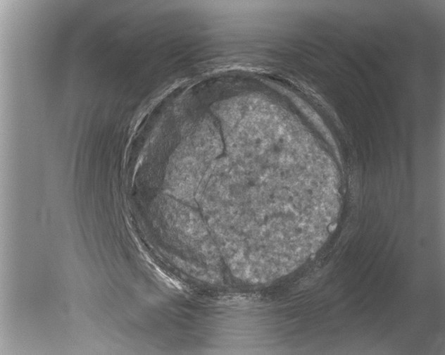 X0000079580721200612301406