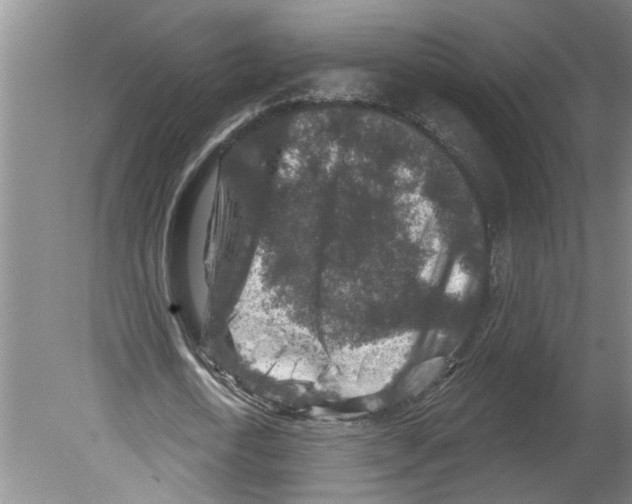 X0000079580722200612301406