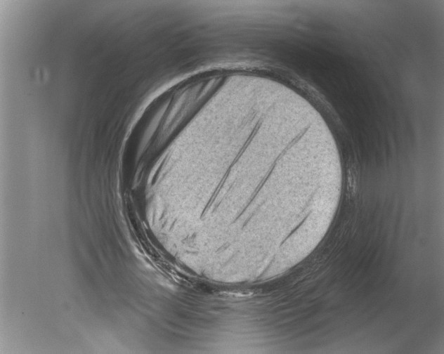 X0000079580724200612301406