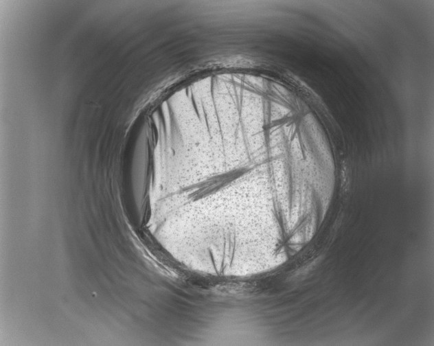 X0000079580725200612301406